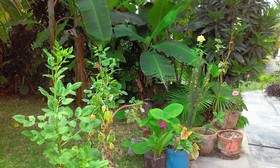 Hotel Maya Balam