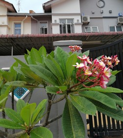C U Homestay Bukit Indah