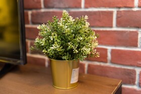 Rumah Joho Guesthouse