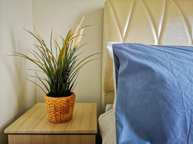 The Platino by YOYO Homestay