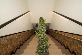 Oro Hotel