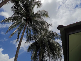 Lemonia Holiday Resort