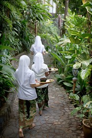 Ambong Ambong, Langkawi Rainforest Retreat
