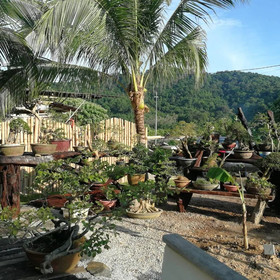 Bamboo Cottage Langkawi