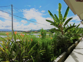 The Red Warriors Resort Langkawi