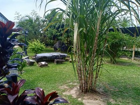De Baron Resort
