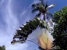 Ocean Garden Langkawi
