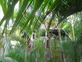 Ocean Garden Langkawi