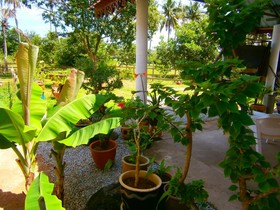 The Cottage Langkawi