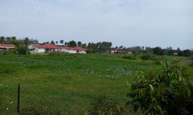 Tokman Inn Langkawi