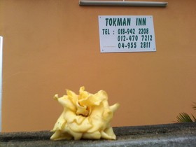 Tokman Inn Langkawi