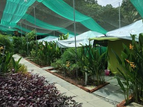 T Star Cottage Langkawi