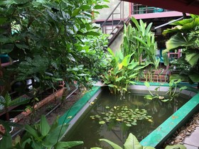 T Star Cottage Langkawi