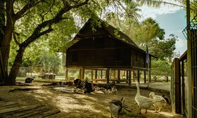 Pelangi Beach Resort & Spa