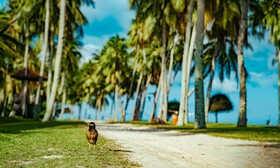 Pelangi Beach Resort & Spa