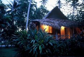 Bon Ton Antique Wooden Villas