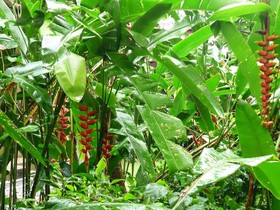 Holiday Villa Resort & Beachclub Langkawi