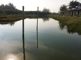 Home Beach Village Resort