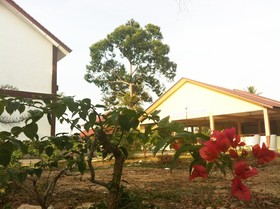 Home Beach Village Resort