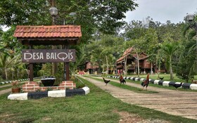 Desa Balqis Beach Resort by OYO