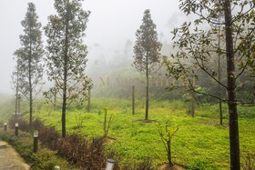 Ion Delemon Premier Suites Genting Highlands