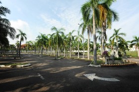 Hotel Green Park