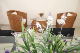 Delite Guest House Batu Ferringhi
