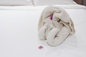 The Bagan Suite