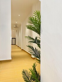 The 6N By Sky Hive