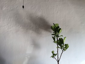 The Frame Guesthouse