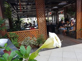 D feringghi and Restaurant