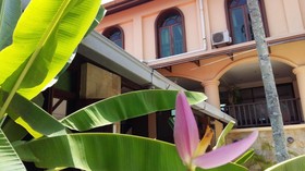 D feringghi and Restaurant