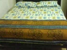 Shalini's Guest House