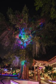 Jerejak Rainforest Resort