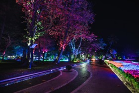Jerejak Rainforest Resort