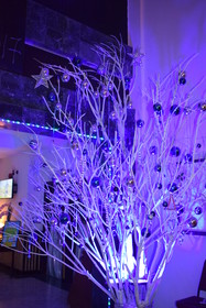 Leisure Cove Hotel & Apartment