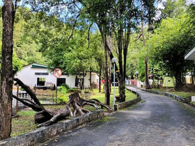Eco Capsule Resort