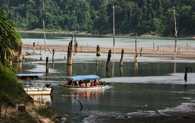 Belum Rainforest Resort