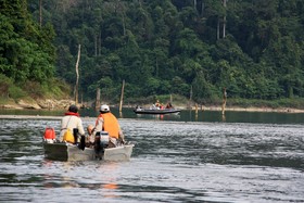 Belum Rainforest Resort