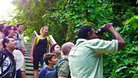 Belum Rainforest Resort