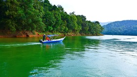 Belum Rainforest Resort