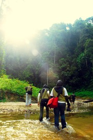 Belum Rainforest Resort