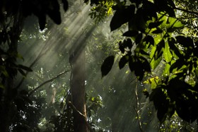Belum Adventure Camp