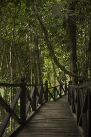 Belum Adventure Camp