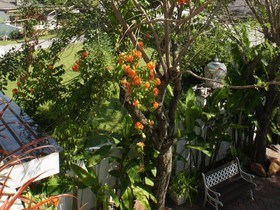 NPF Bali Villa