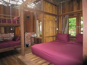 The Roots Eco Resort