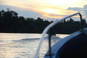 Borneo Natural Sukau Bilit Resort