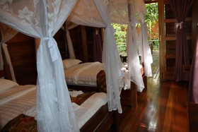 Borneo Natural Sukau Bilit Resort