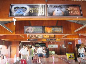 Bilit Adventure Lodge