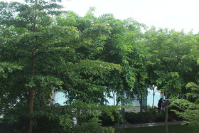 NVs Sunset and Seaview Vacation Condos at IMAGO Shopping Mall